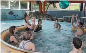 Bildschirmfoto_12-1-2026_124549_