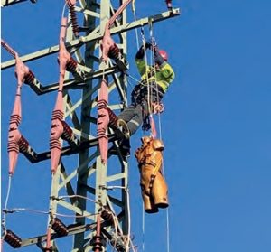 Bildschirmfoto_12-1-2026_132228_